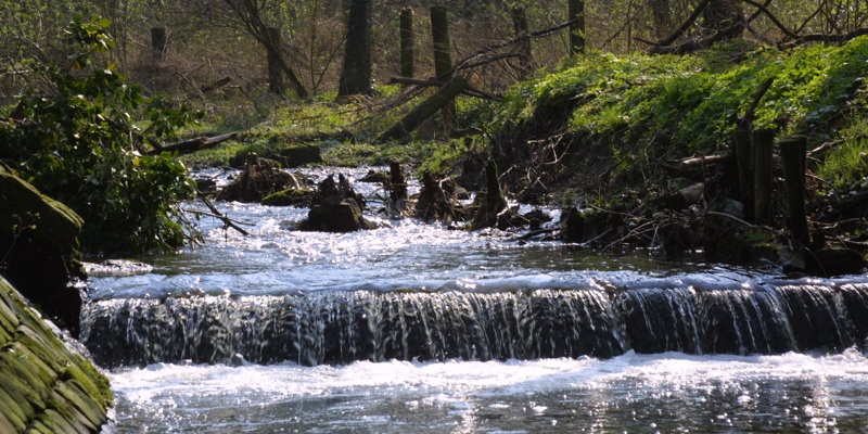 Een beekje met een kleine waterval in Park Gravenrode